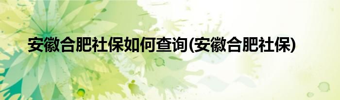 安徽合肥社保如何查询(安徽合肥社保)