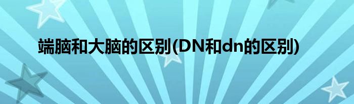 端脑和大脑的区别(DN和dn的区别)