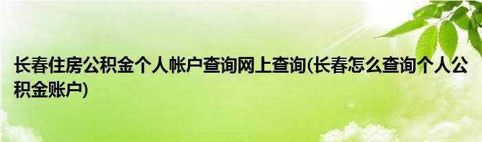 长春住房公积金个人帐户查询网上查询(长春怎么查询个人公积金账户)