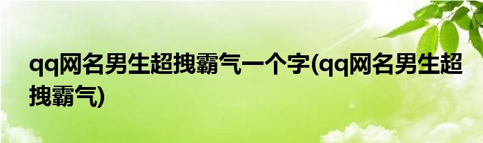 qq网名男生超拽霸气一个字(qq网名男生超拽霸气)