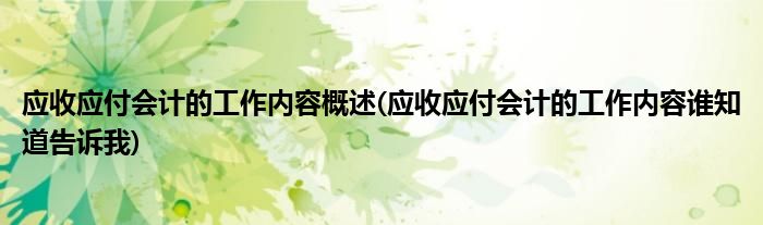 应收应付会计的工作内容概述(应收应付会计的工作内容谁知道告诉我)