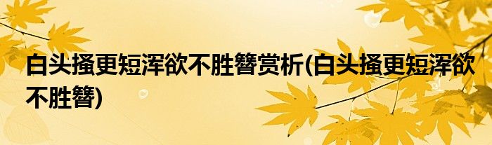 白头搔更短浑欲不胜簪赏析(白头搔更短浑欲不胜簪)