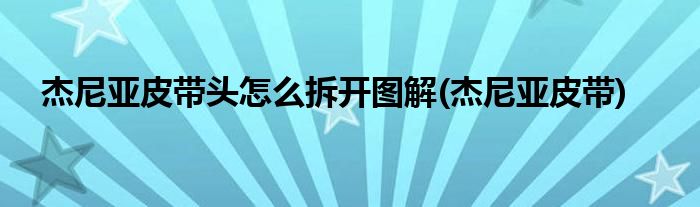 杰尼亚皮带头怎么拆开图解(杰尼亚皮带)