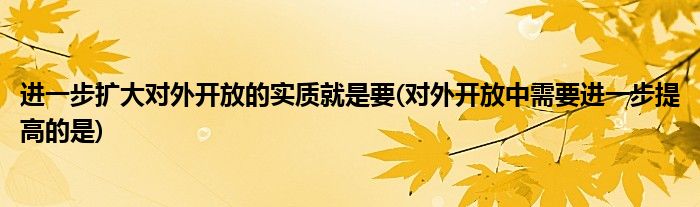 进一步扩大对外开放的实质就是要(对外开放中需要进一步提高的是)