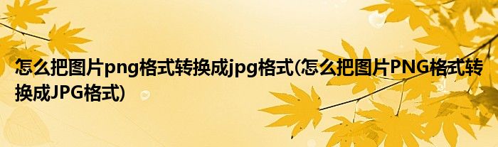 怎么把图片png格式转换成jpg格式(怎么把图片PNG格式转换成JPG格式)