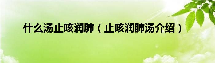 什么汤止咳润肺（止咳润肺汤介绍）