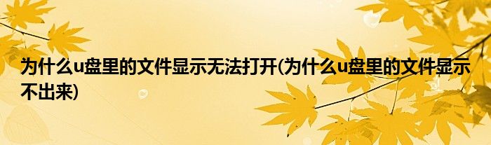 为什么u盘里的文件显示无法打开(为什么u盘里的文件显示不出来)