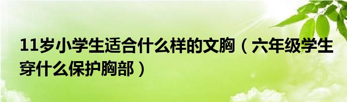 11岁小学生适合什么样的文胸（六年级学生穿什么保护胸部）