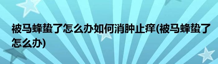 被马蜂蛰了怎么办如何消肿止痒(被马蜂蛰了怎么办)