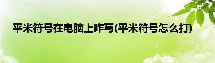 平米符号在电脑上咋写(平米符号怎么打)