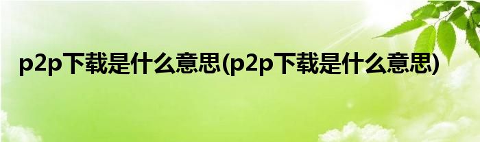 p2p下载是什么意思(p2p下载是什么意思)