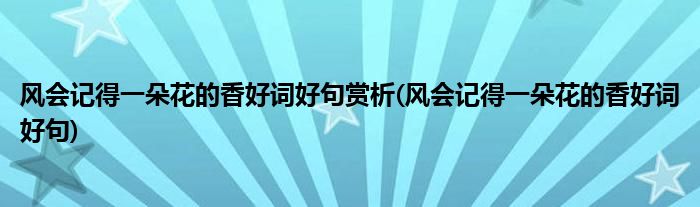 风会记得一朵花的香好词好句赏析(风会记得一朵花的香好词好句)