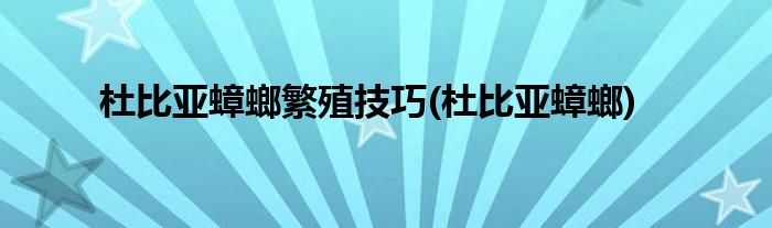 杜比亚蟑螂繁殖技巧(杜比亚蟑螂)