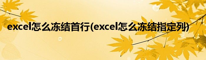 excel怎么冻结首行(excel怎么冻结指定列)