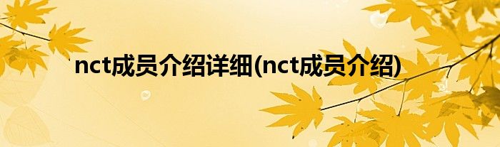 nct成员介绍详细(nct成员介绍)