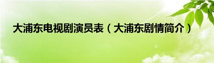 大浦东电视剧演员表（大浦东剧情简介）