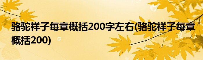 骆驼祥子每章概括200字左右(骆驼祥子每章概括200)