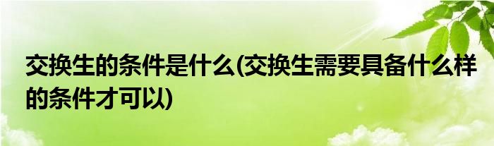 交换生的条件是什么(交换生需要具备什么样的条件才可以)