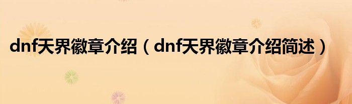 dnf天界徽章介绍（dnf天界徽章介绍简述）