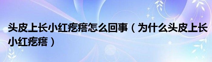 头皮上长小红疙瘩怎么回事（为什么头皮上长小红疙瘩）