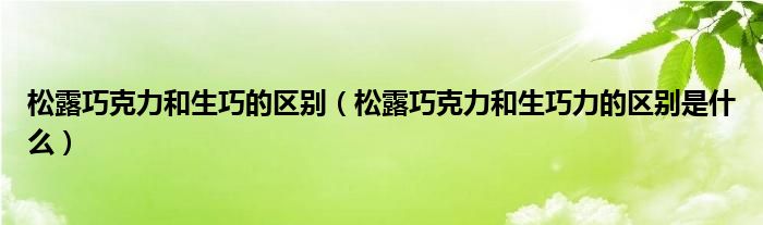 松露巧克力和生巧的区别（松露巧克力和生巧力的区别是什么）