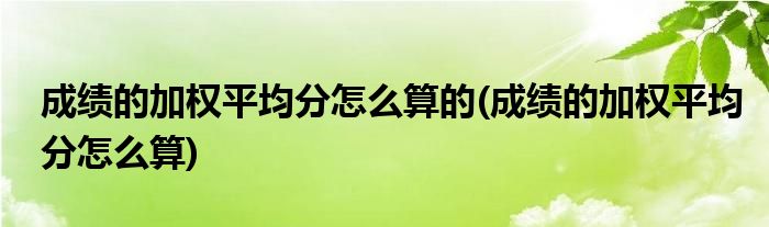 成绩的加权平均分怎么算的(成绩的加权平均分怎么算)