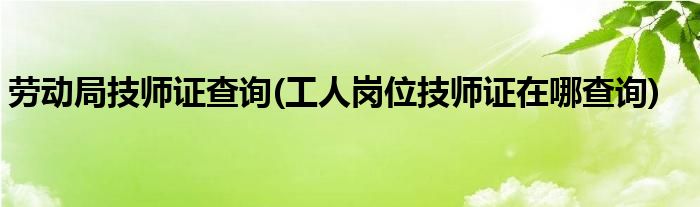 劳动局技师证查询(工人岗位技师证在哪查询)