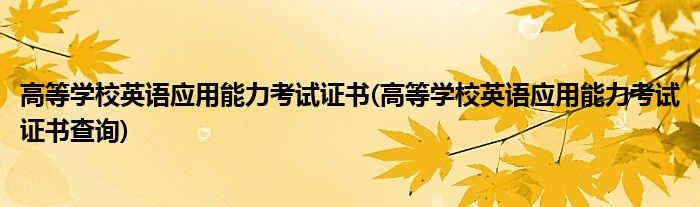 高等学校英语应用能力考试证书(高等学校英语应用能力考试证书查询)