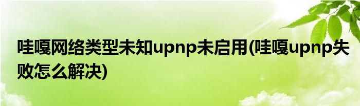 哇嘎网络类型未知upnp未启用(哇嘎upnp失败怎么解决)