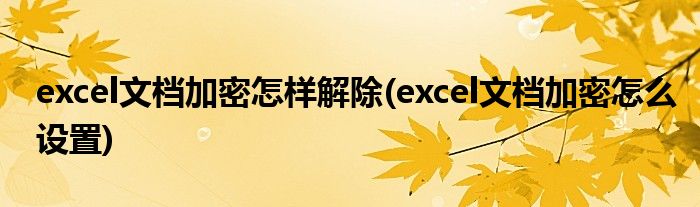 excel文档加密怎样解除(excel文档加密怎么设置)