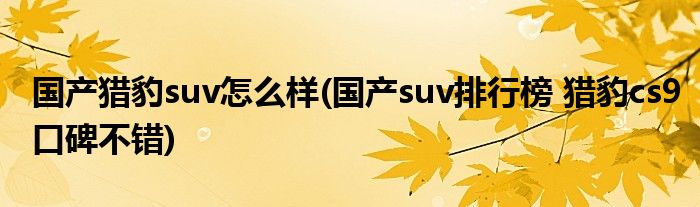 国产猎豹suv怎么样(国产suv排行榜 猎豹cs9口碑不错)