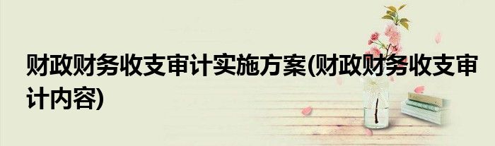 财政财务收支审计实施方案(财政财务收支审计内容)