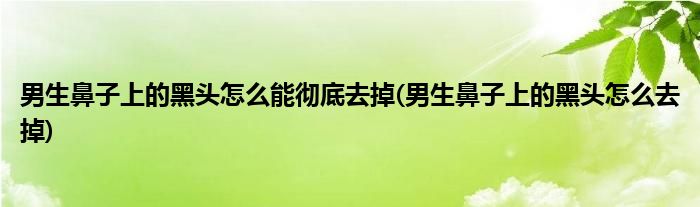 男生鼻子上的黑头怎么能彻底去掉(男生鼻子上的黑头怎么去掉)