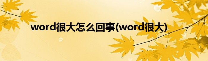 word很大怎么回事(word很大)