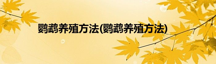 鹦鹉养殖方法(鹦鹉养殖方法)