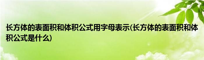 长方体的表面积和体积公式用字母表示(长方体的表面积和体积公式是什么)