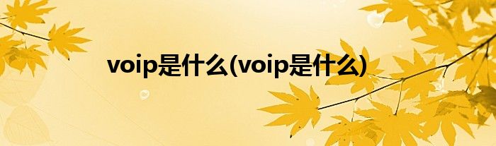 voip是什么(voip是什么)