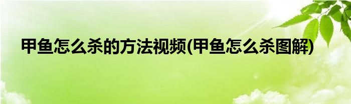 甲鱼怎么杀的方法视频(甲鱼怎么杀图解)