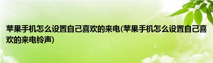 苹果手机怎么设置自己喜欢的来电(苹果手机怎么设置自己喜欢的来电铃声)