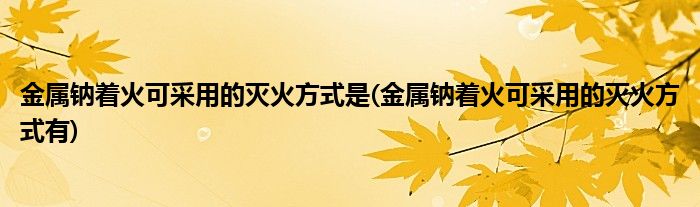 金属钠着火可采用的灭火方式是(金属钠着火可采用的灭火方式有)