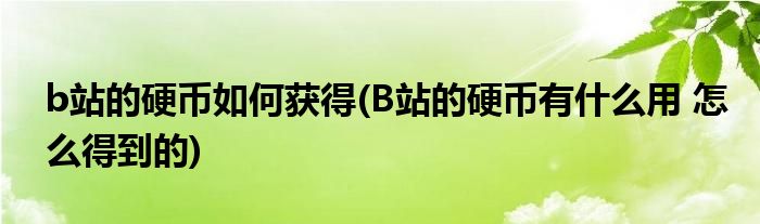 b站的硬币如何获得(B站的硬币有什么用 怎么得到的)