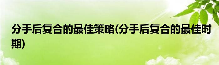 分手后复合的最佳策略(分手后复合的最佳时期)