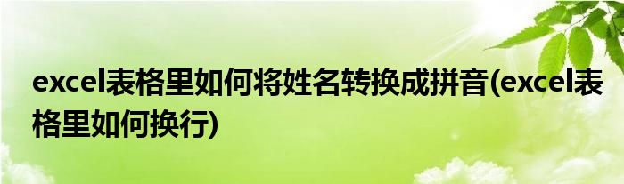 excel表格里如何将姓名转换成拼音(excel表格里如何换行)