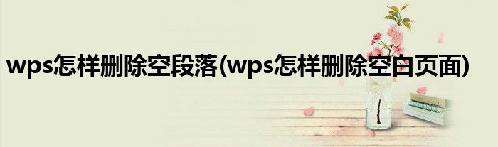 wps怎样删除空段落(wps怎样删除空白页面)