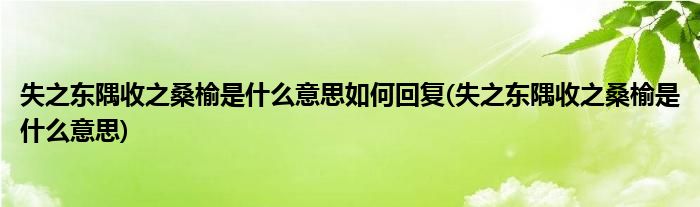 失之东隅收之桑榆是什么意思如何回复(失之东隅收之桑榆是什么意思)