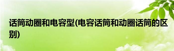 话筒动圈和电容型(电容话筒和动圈话筒的区别)