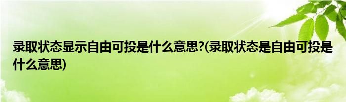 录取状态显示自由可投是什么意思?(录取状态是自由可投是什么意思)