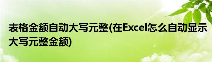 表格金额自动大写元整(在Excel怎么自动显示大写元整金额)