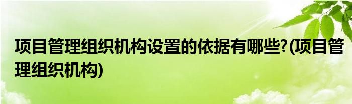 项目管理组织机构设置的依据有哪些?(项目管理组织机构)