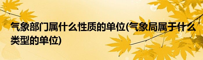 气象部门属什么性质的单位(气象局属于什么类型的单位)